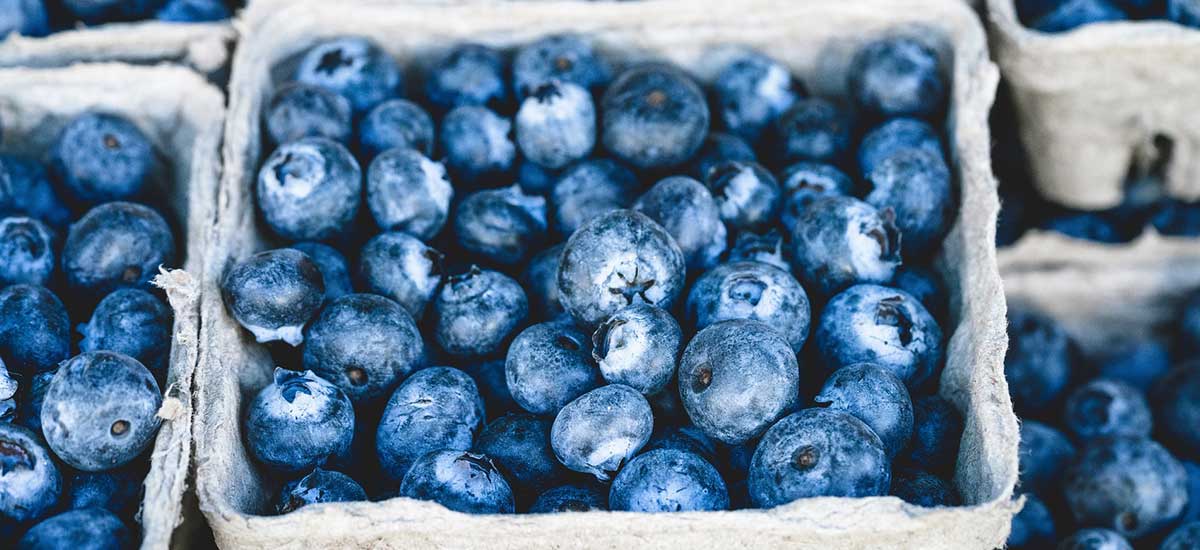 Fresh blueberries
